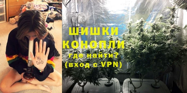 эйфоретик Осинники