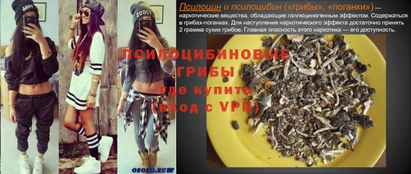 гидропоника Няндома