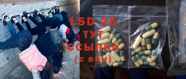 эйфоретик Осинники