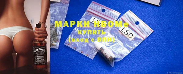 стафф Губаха