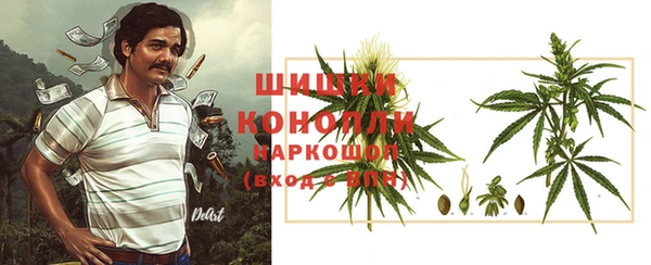амф Осташков
