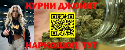 гидра Гусев