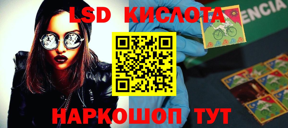 Ивантеевка  Вход с VPN  Мяу-Мяу  Ляпка 