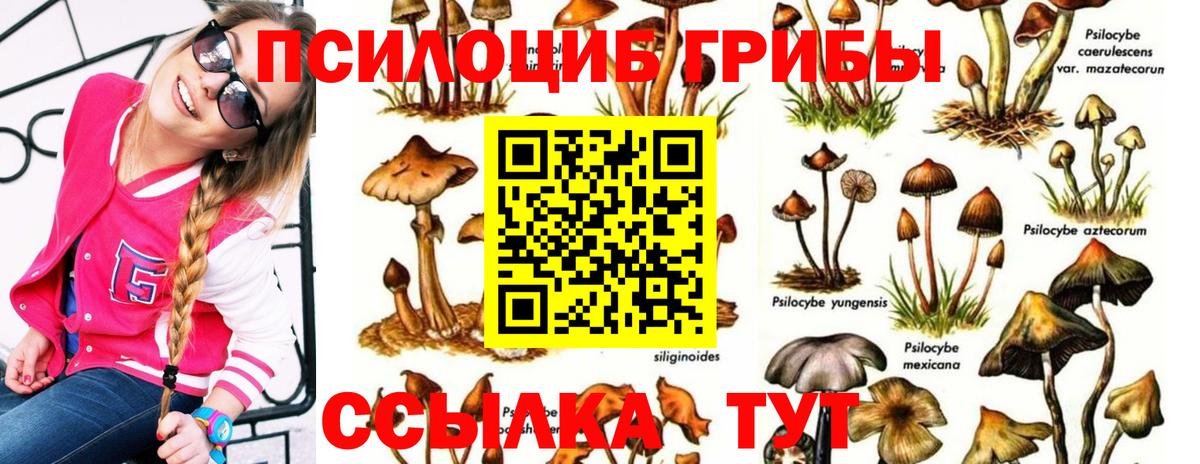 Псилоцибиновые грибы MAGIC MUSHROOMS Ивантеевка