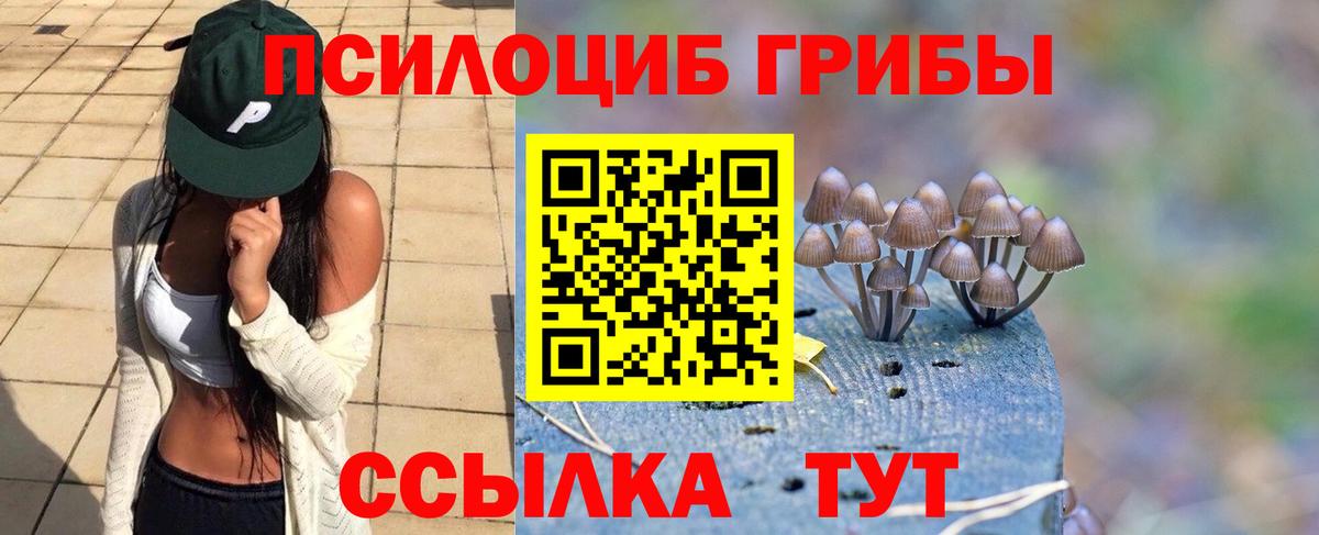 Галлюциногенные грибы MAGIC MUSHROOMS  Вход с VPN  Галлюциногенные грибы MAGIC MUSHROOMS  Ивантеевка 