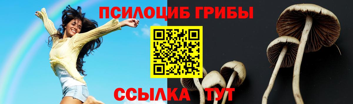 Псилоцибиновые грибы Magic Shrooms Ивантеевка